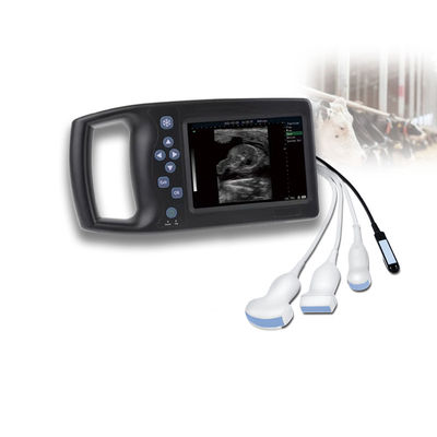 qualité Veterinary Ultrasound Probe Medical Equipment Good Support Veterinary Ultrasound Scanner Laptop Ultrasound Sonoscape Livestock Price usine